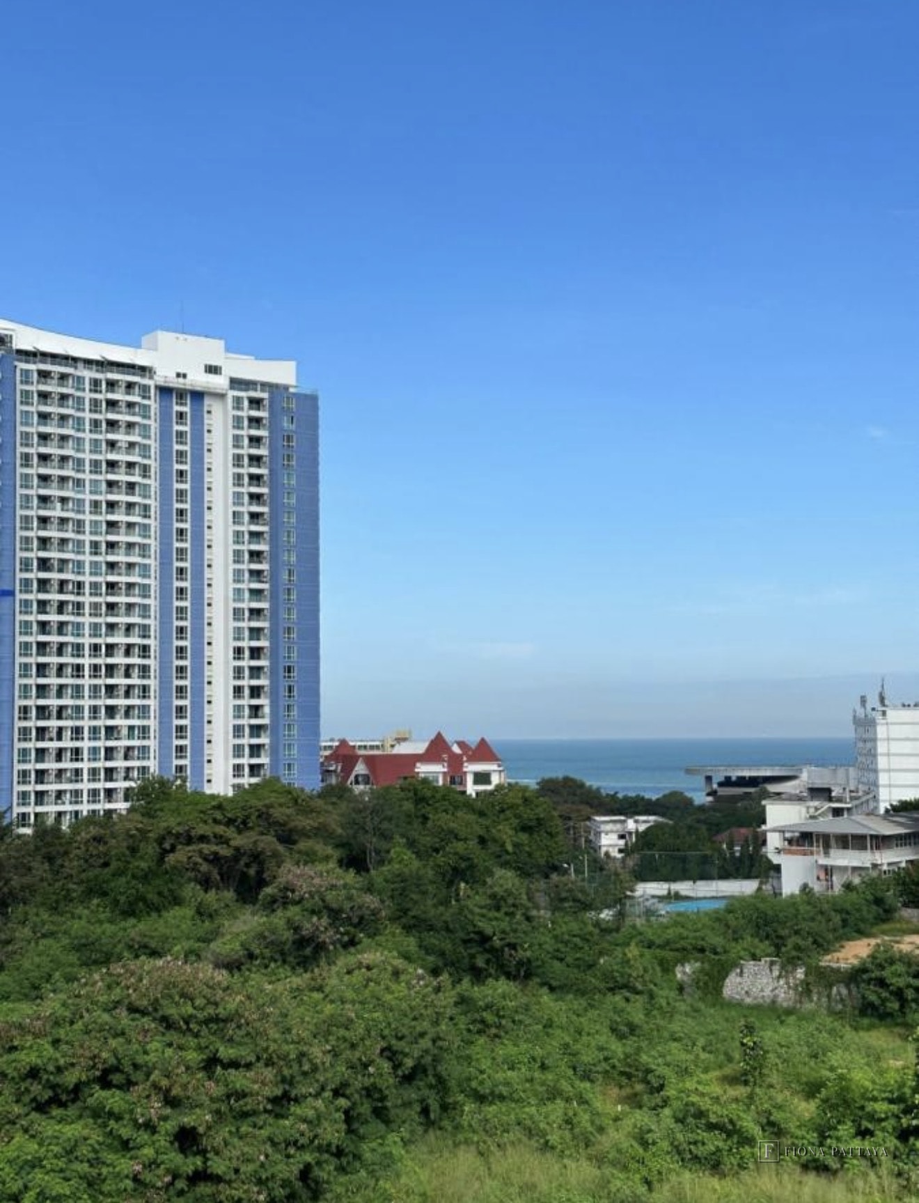 🏢 3 Businesses for Sale in Pratumnak